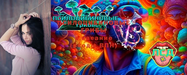 таблы Елабуга