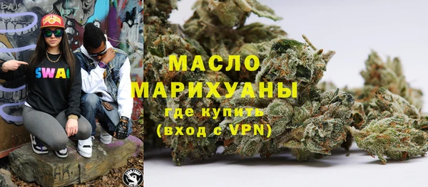 индика Анива