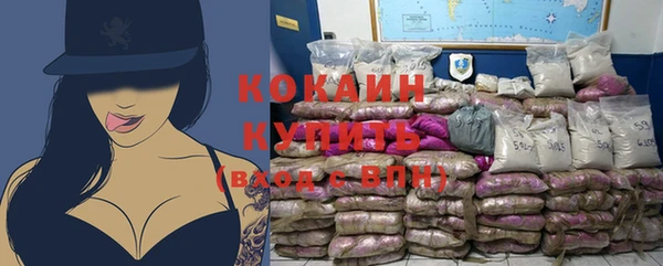 СК Новозыбков