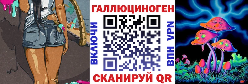 Псилоцибиновые грибы Psilocybe  Задонск 